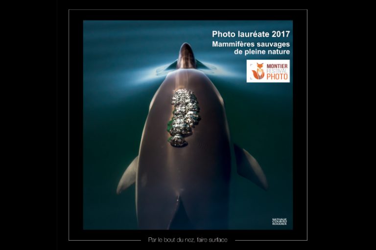 CONCOURS INTERNATIONAL DE PHOTOS DE MONTIER : DOUBLÉ GAGNANT