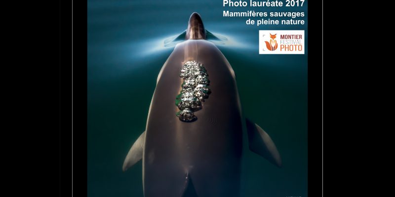 CONCOURS INTERNATIONAL DE PHOTOS DE MONTIER : DOUBLÉ GAGNANT CONCOURS INTERNATIONAL DE PHOTOS DE MONTIER : DOUBLÉ GAGNANT