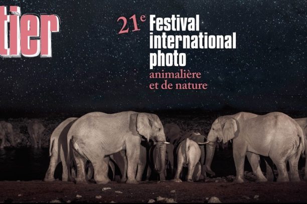 MMMMHHH… MONTIER !