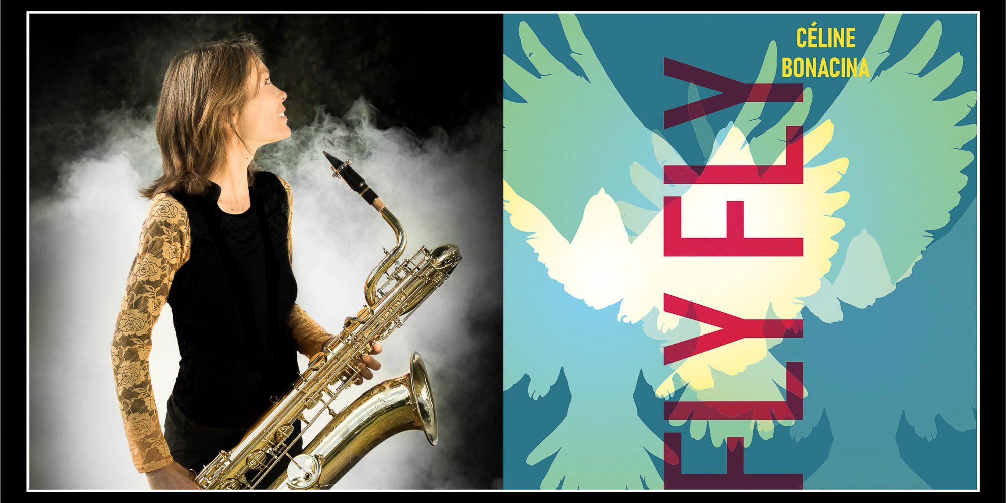 Couv Histoire Fly Fly