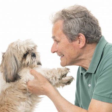 Portrait studio d'un maître et son chien Shih tzu