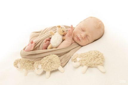 Photo studio Naissance, bébé sur une couverture blanche, emmailloté en beige, avec des petits moutons