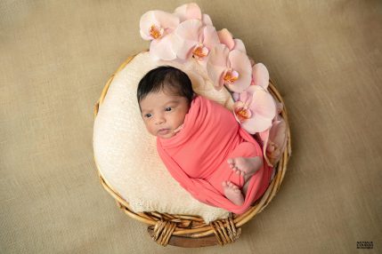 Séance photo studio bébé emmailloté en corail dans une corbeille avec une branche d'orchidée