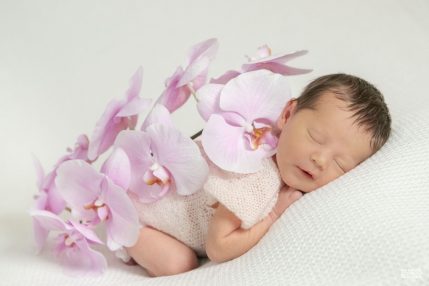 Photo studio Naissance, nouveau-né endormi avec une branche d'orchidée rose
